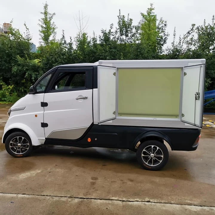 Cargo Box Logistics Van Electric Vehicle Sales