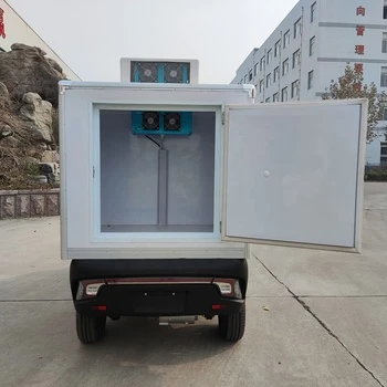 J2-C L6e Electric Mini Refrigerator Car For Cold Chain Transportation