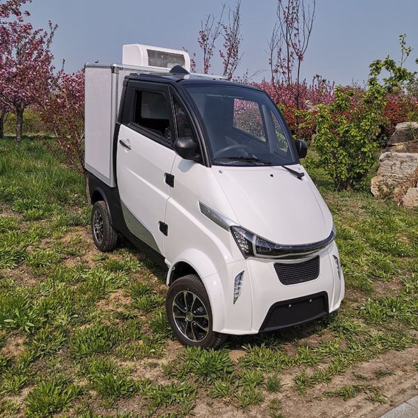 J2-C L6e Electric Mini Refrigerator Car For Cold Chain Transportation