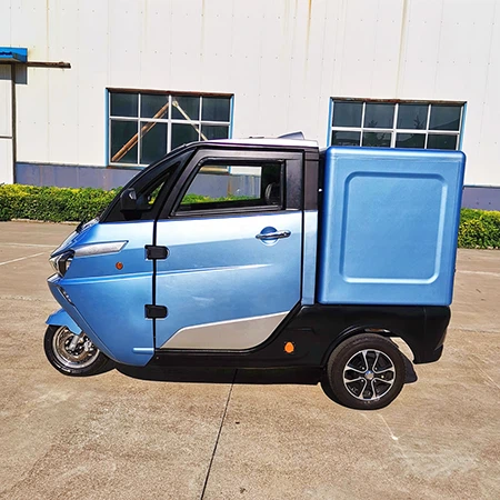 Motorcycle Cargo Car For Adults Rickshaw Family Vehicle Fully Enclosed Closed Van
